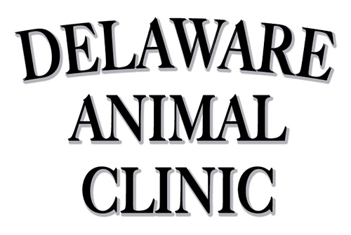 temp logo